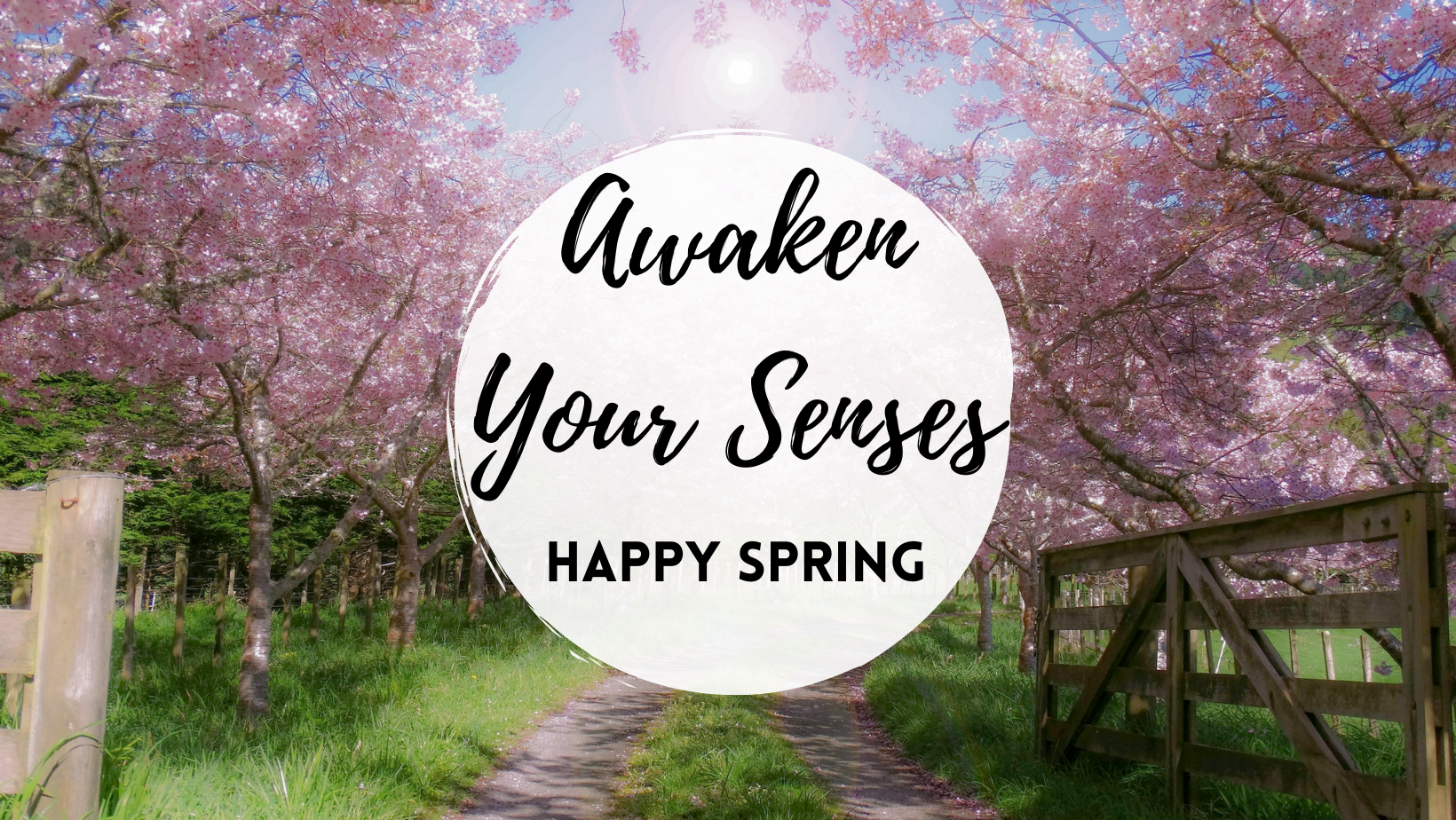 Awaken your Senses - Happy Spring