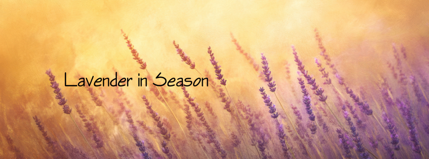 Lavender is in Season