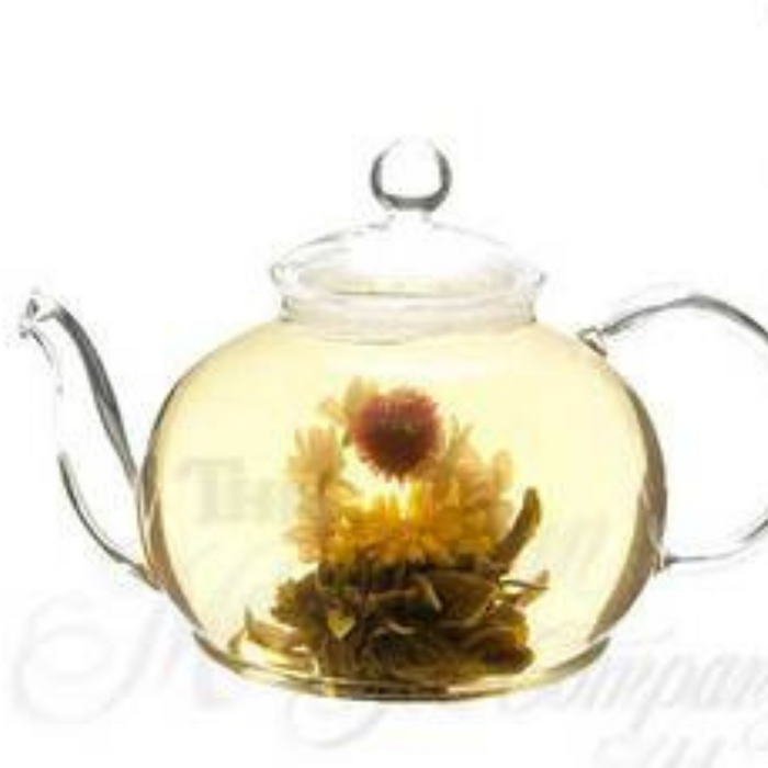 blooming in a pot Dragon 4 Flowers Blooming Tea