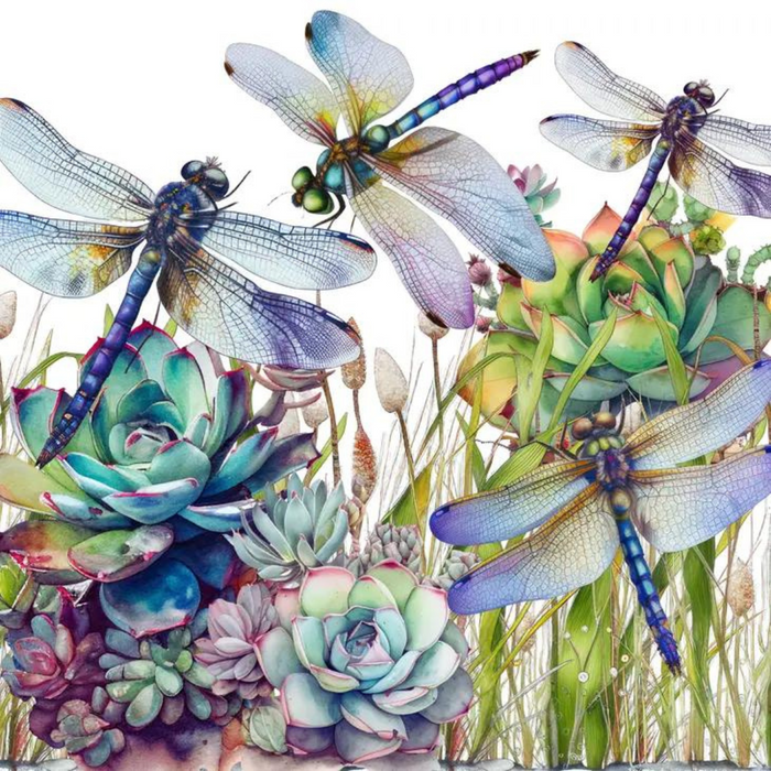 20oz Succulent and Dragonfly Travel Tumbler Mug