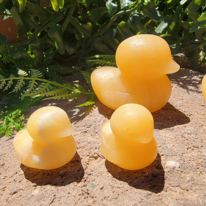 Little Yellow Ducky - Orange Calcite