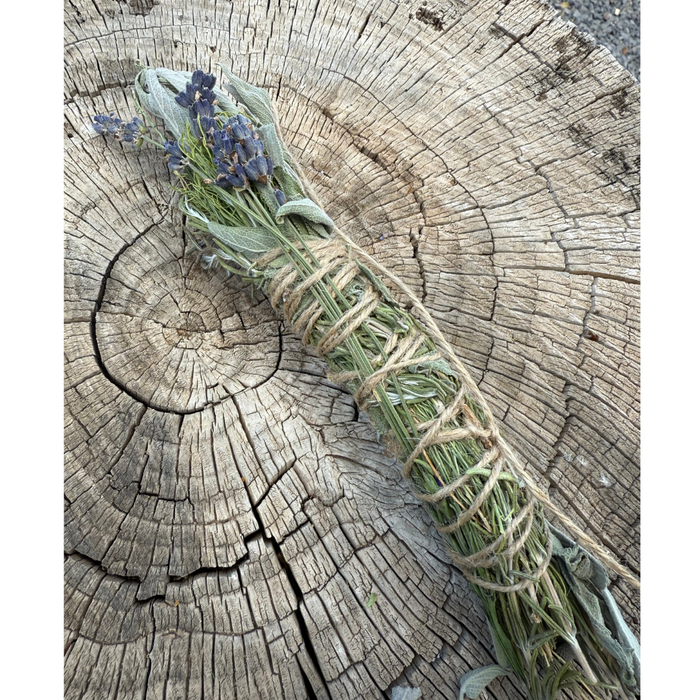 Wild Herbal Garden Bundle