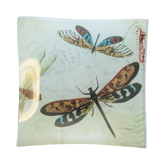 Dragonfly Glass Tray Design 3