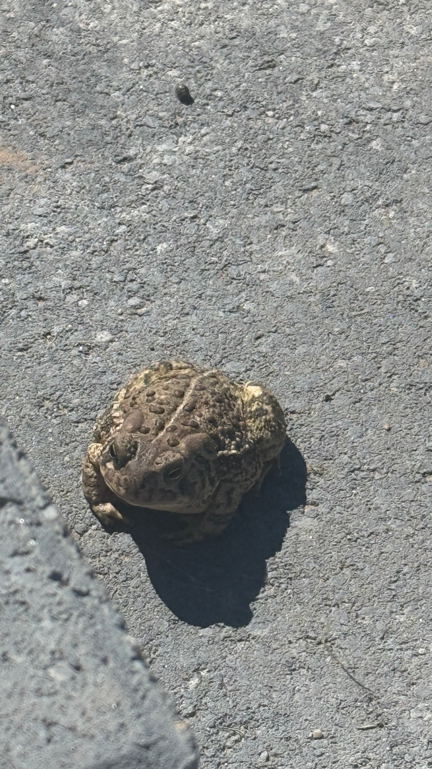 Unexpected Company