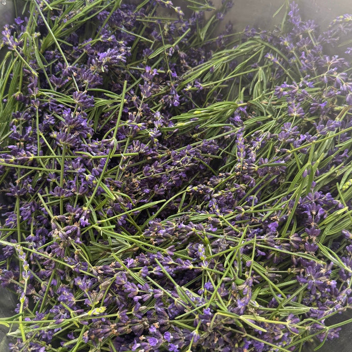 A Little More to Give