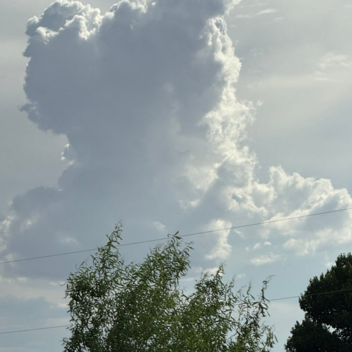 When the Clouds Become Stories