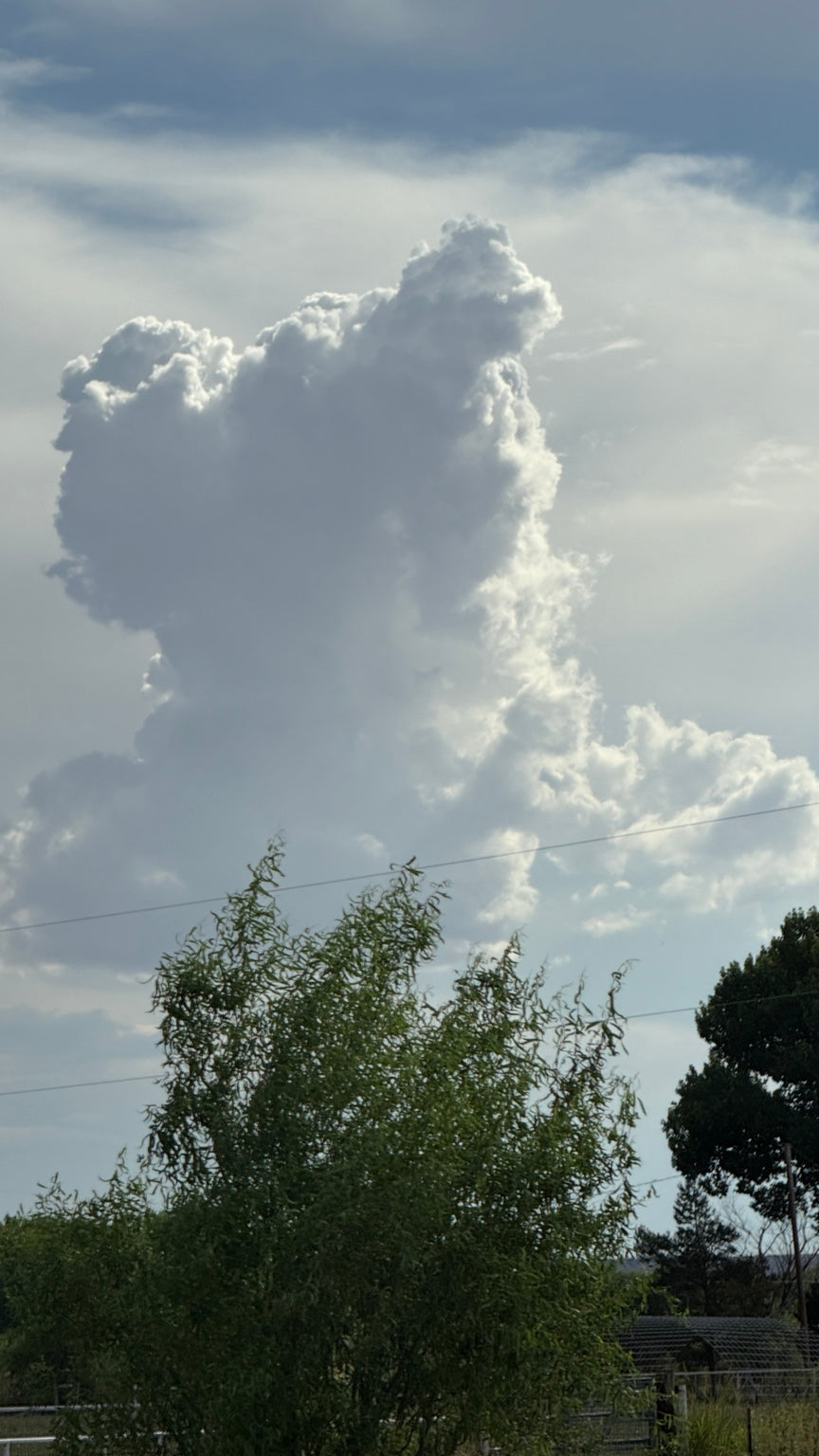 When the Clouds Become Stories