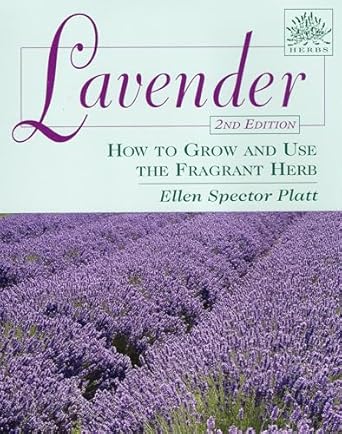 Lavender: How to grow and Use the Fragrant Herb