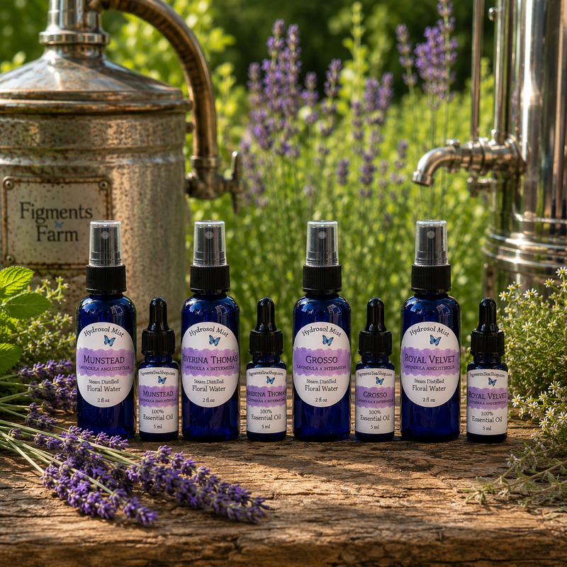 Six blue glass fragrance oil bottles from Butterfly & Balm, including various Musks and Rose Water scents, arranged on a rustic wooden surface with lavender sprigs and vintage distillation equipment in a garden setting.