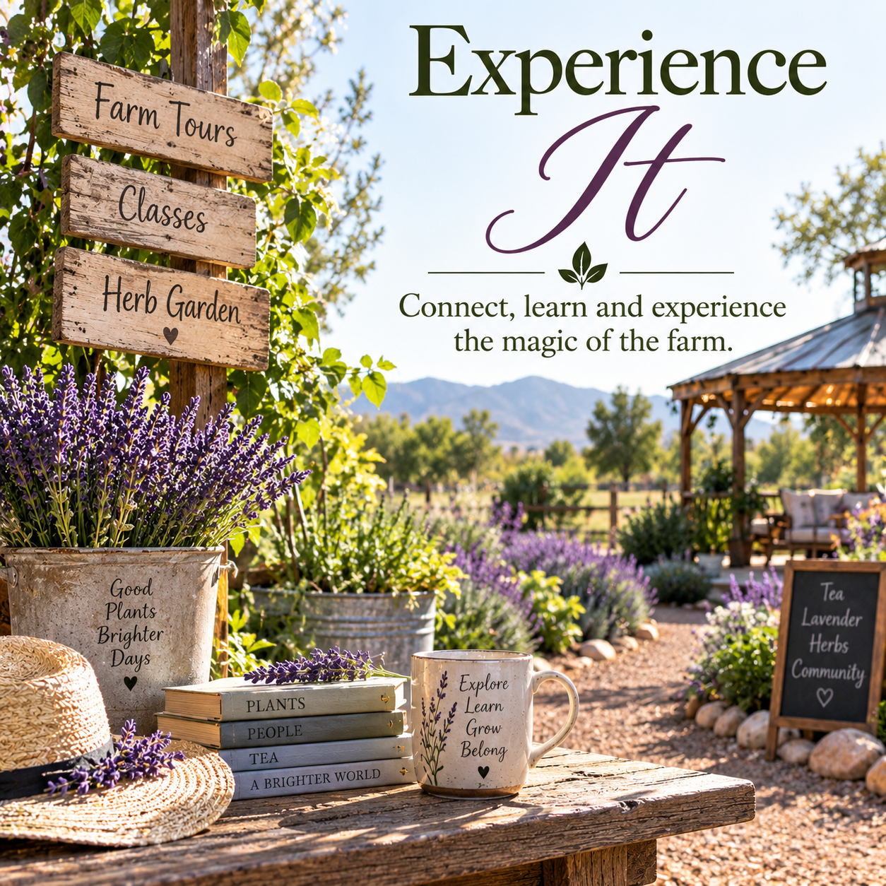 Experience It
