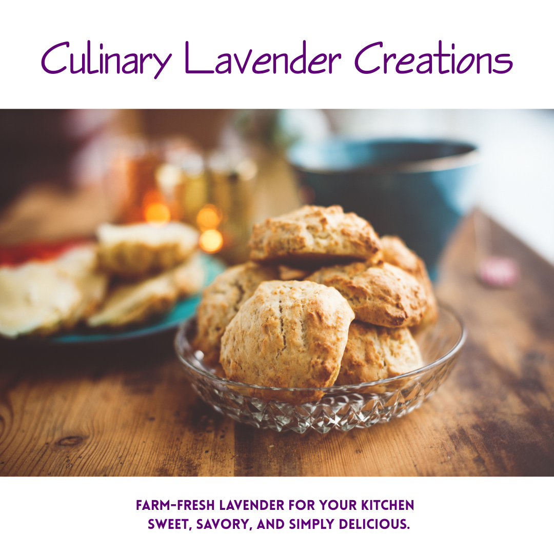 Culinary Lavender Creations