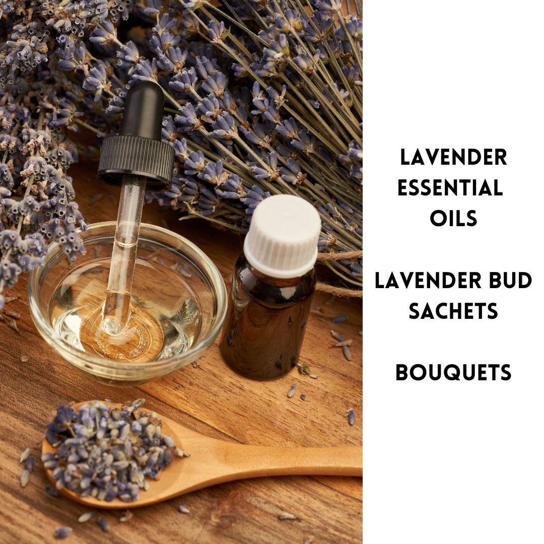 Lavender Essential Oils