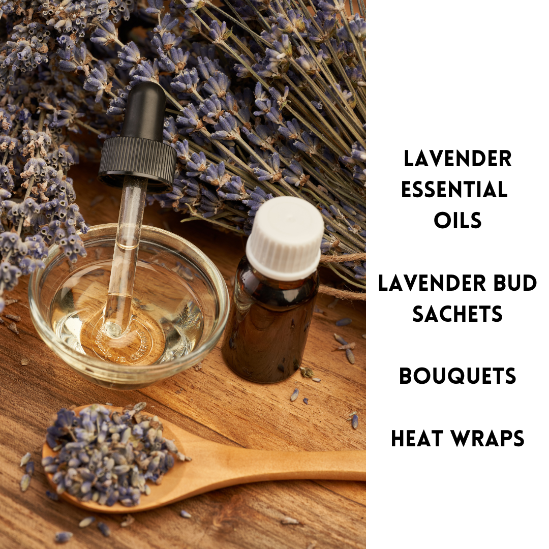 Lavender Essential Oils