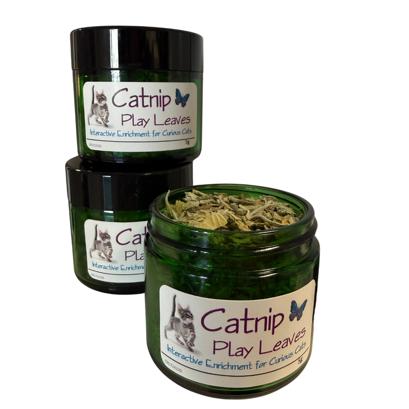 Catnip Play Leaves