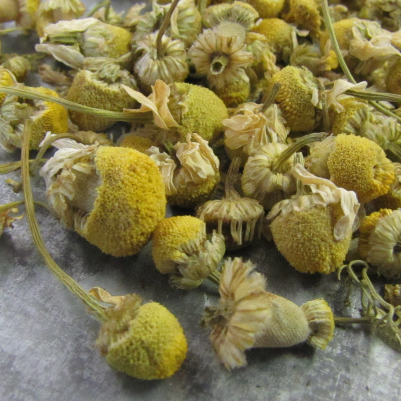 Egyptian Chamomile Herbal Tea