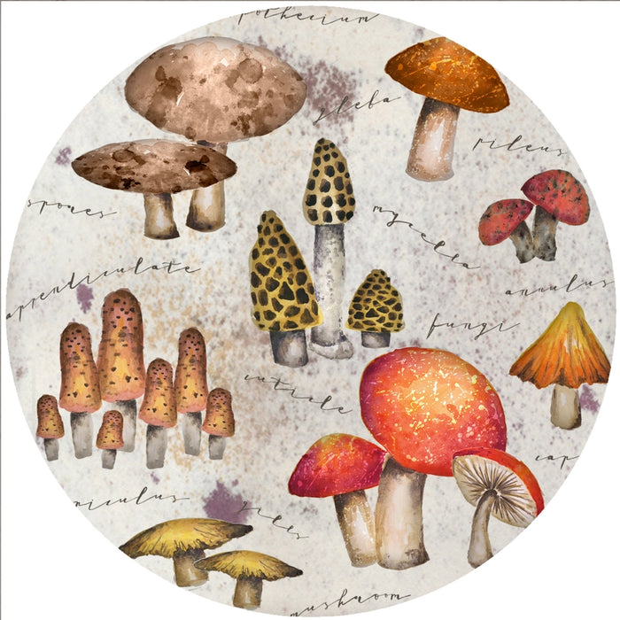 Mushrooms Silicone Jar Opener
