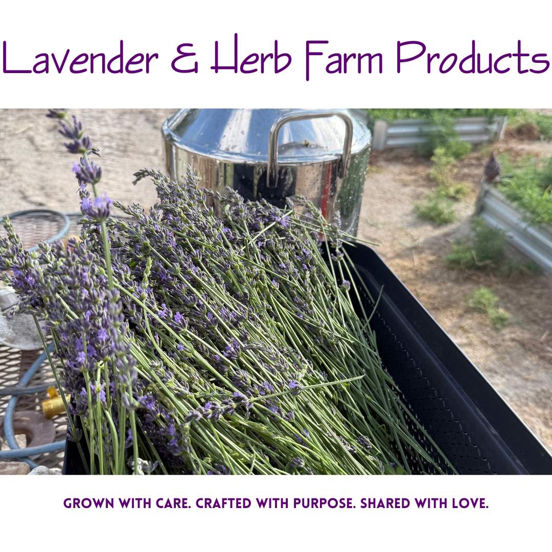 LAVENDER & Herb Farm Products