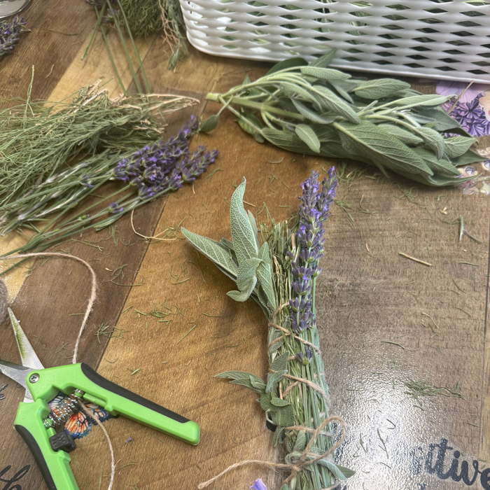 Wild Herbal Garden Bundle