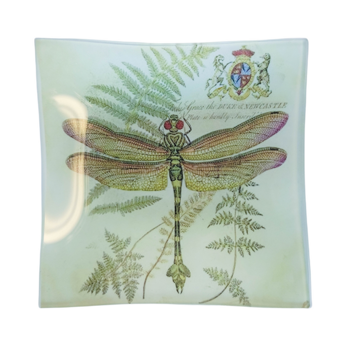Dragonfly Glass Tray Design 5