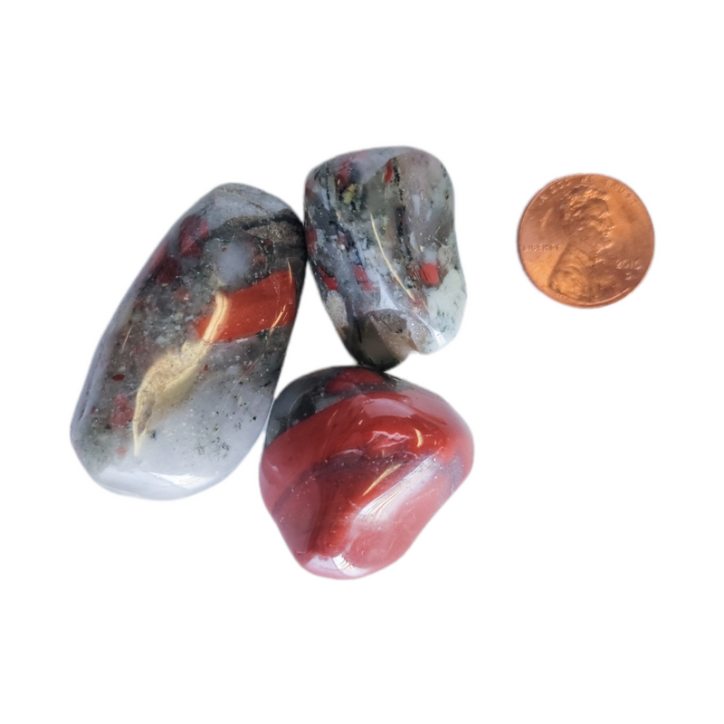 Tumbled Bloodstone